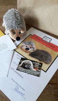 Egel adoptie Egel adoptie